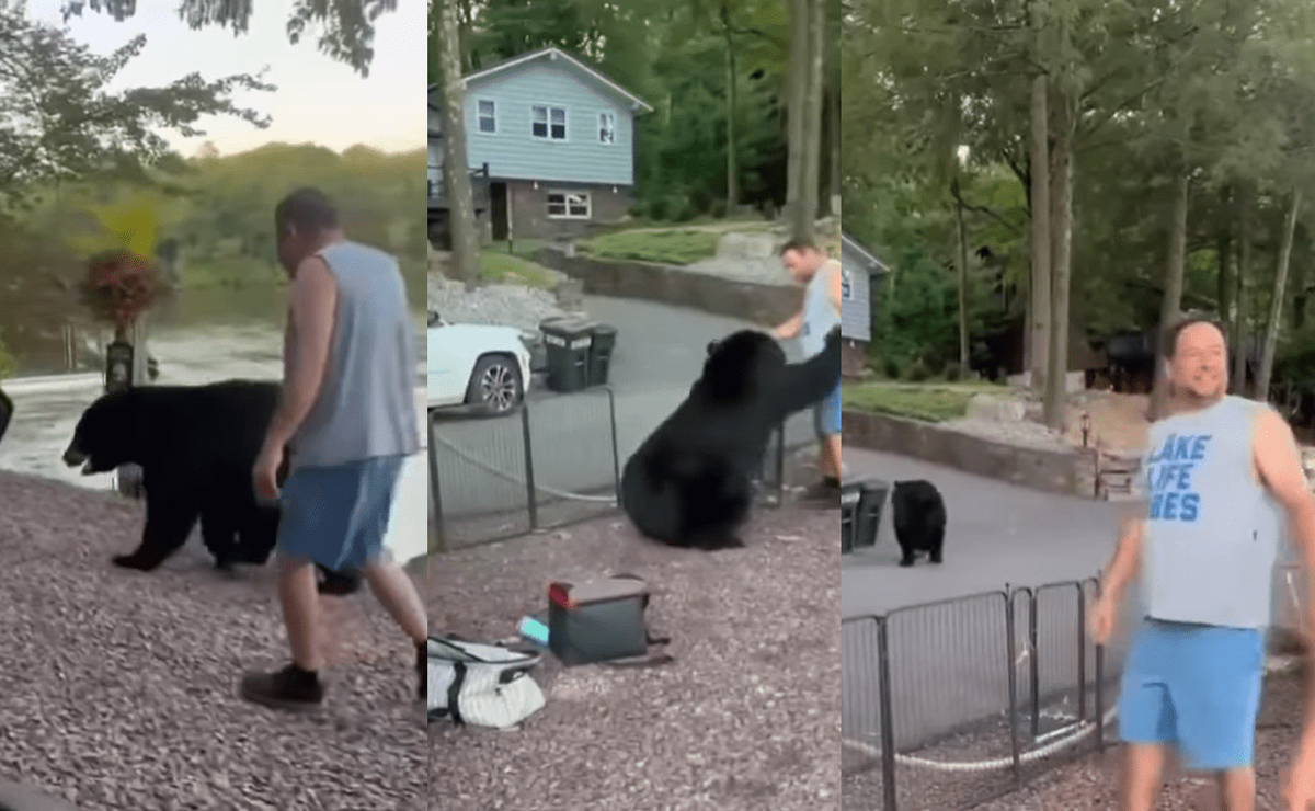 Pennsylvania Man Leads Black Bear Out Of Lakefront Party, Takes A Paw To The Ribs As The Bear Exits