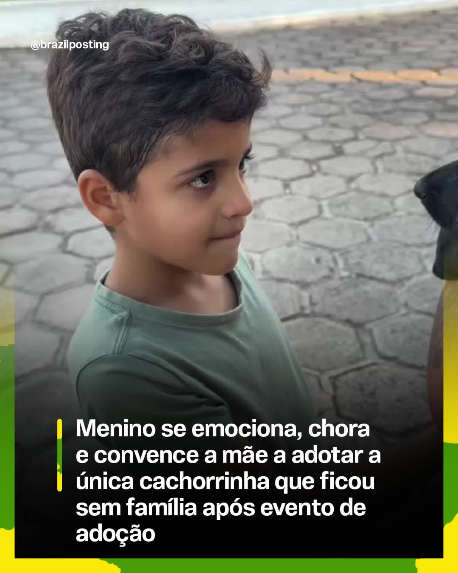 Menino de Paulo Afonso chora ao ver que cachorra preta seria a única a voltar pro abrigo e convence a mãe a adotar na hora
