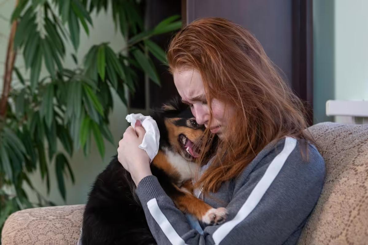 Vida compartilhada: Cães e gatos são capazes de perceber emoções de seus tutores
