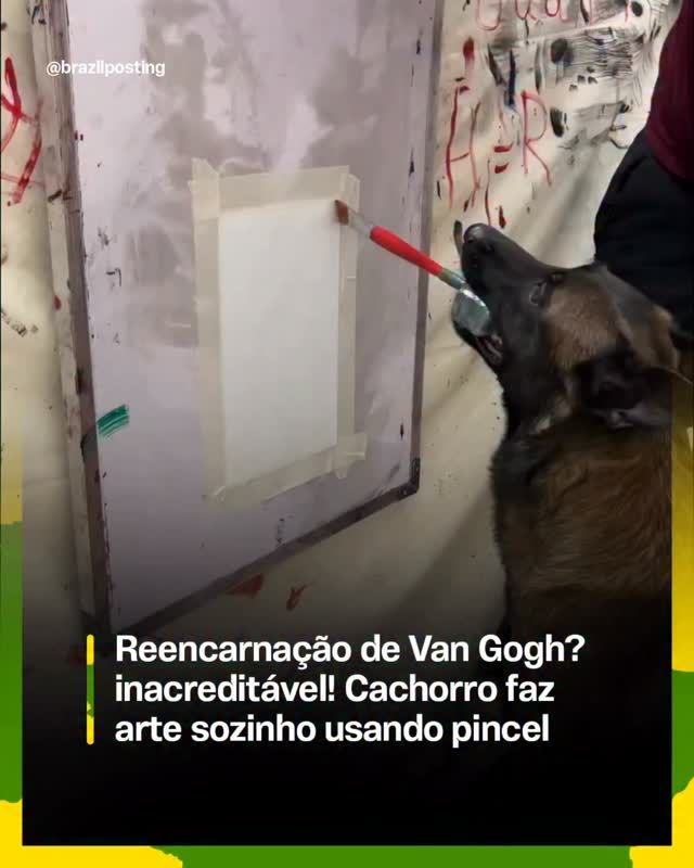 Cachorro segurando pincel na boca e pintando: quando adestramento vira arte