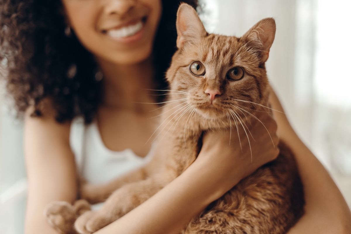 Why Do Cats Slow Blink?