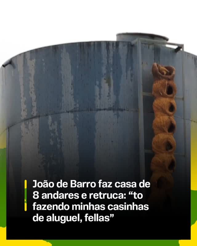 João-de-barro, o corretor da fauna brasileira: a ave que constrói casa de alvenaria e ainda passa a chave pra próxima geração