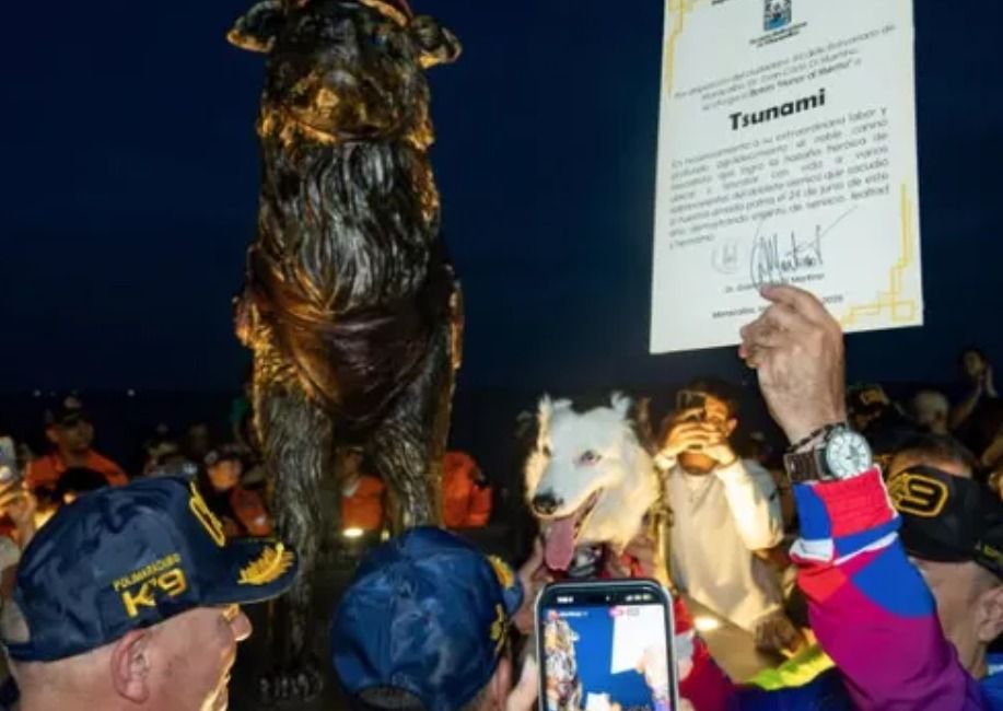 Cão que ajudou a salvar 26 vítimas de terremoto ganha estátua