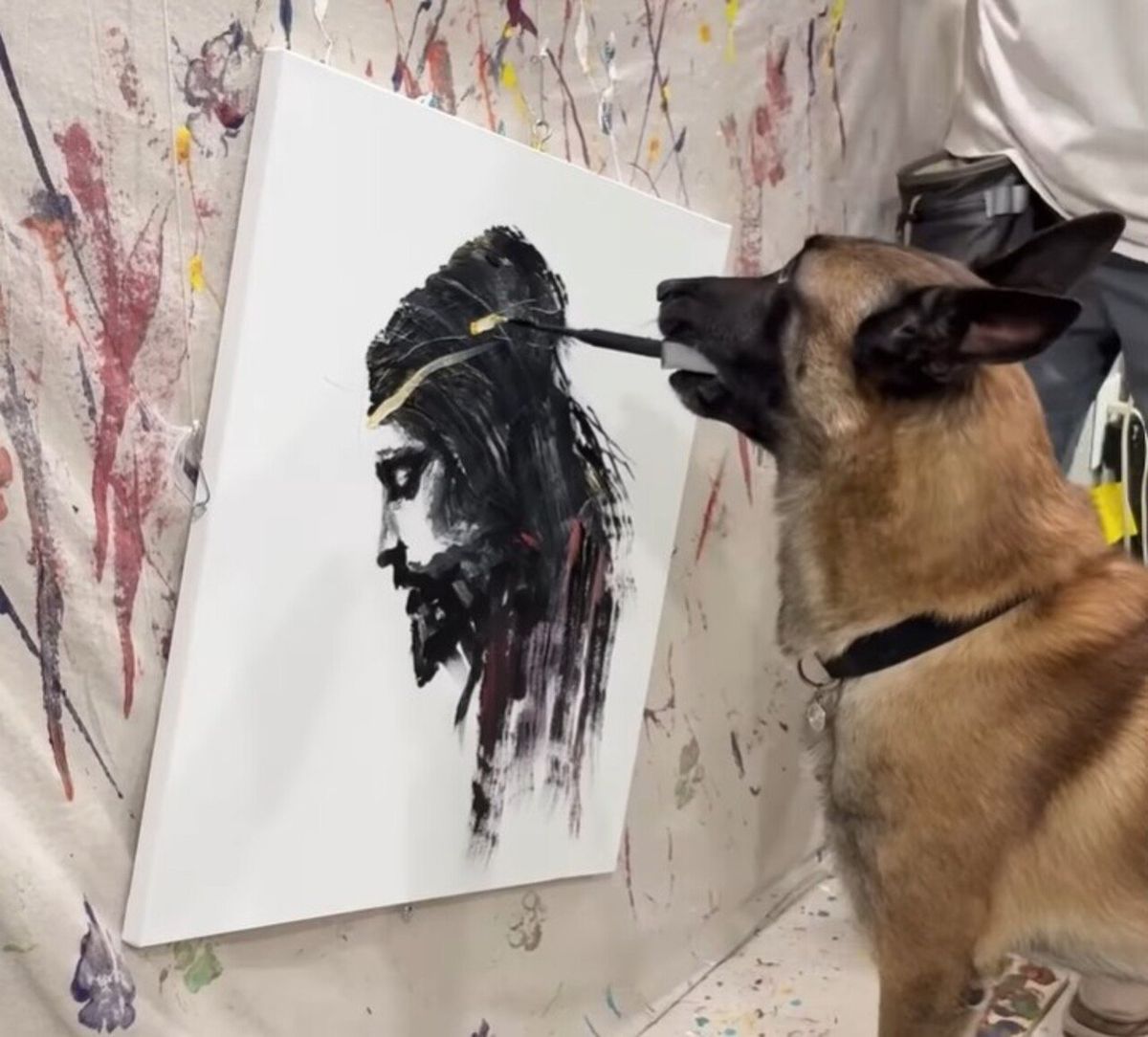 Conheça o cachorro famoso por pintar o rosto de Jesus Cristo