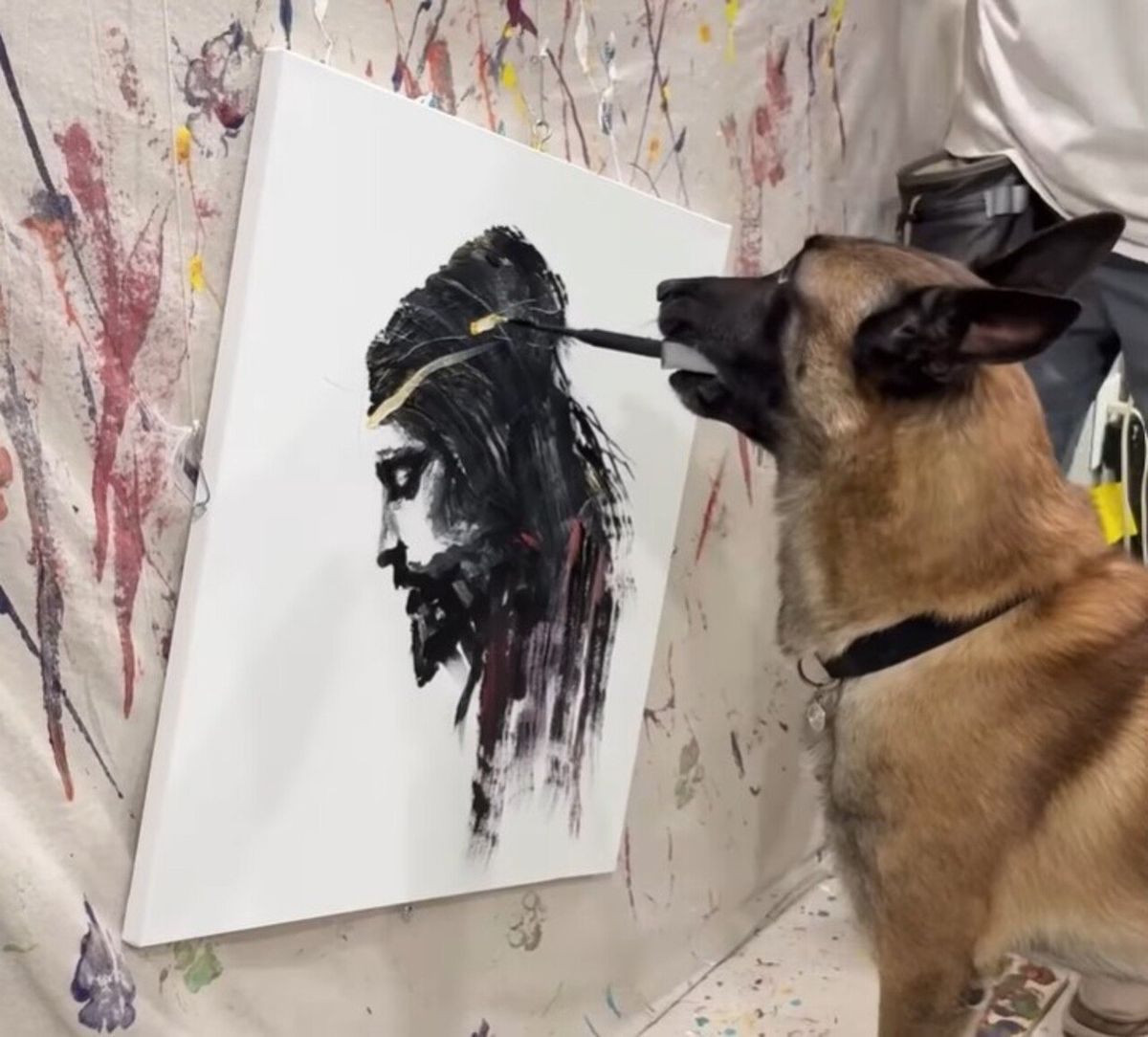 Conheça o cachorro famoso por pintar o rosto de Jesus Cristo