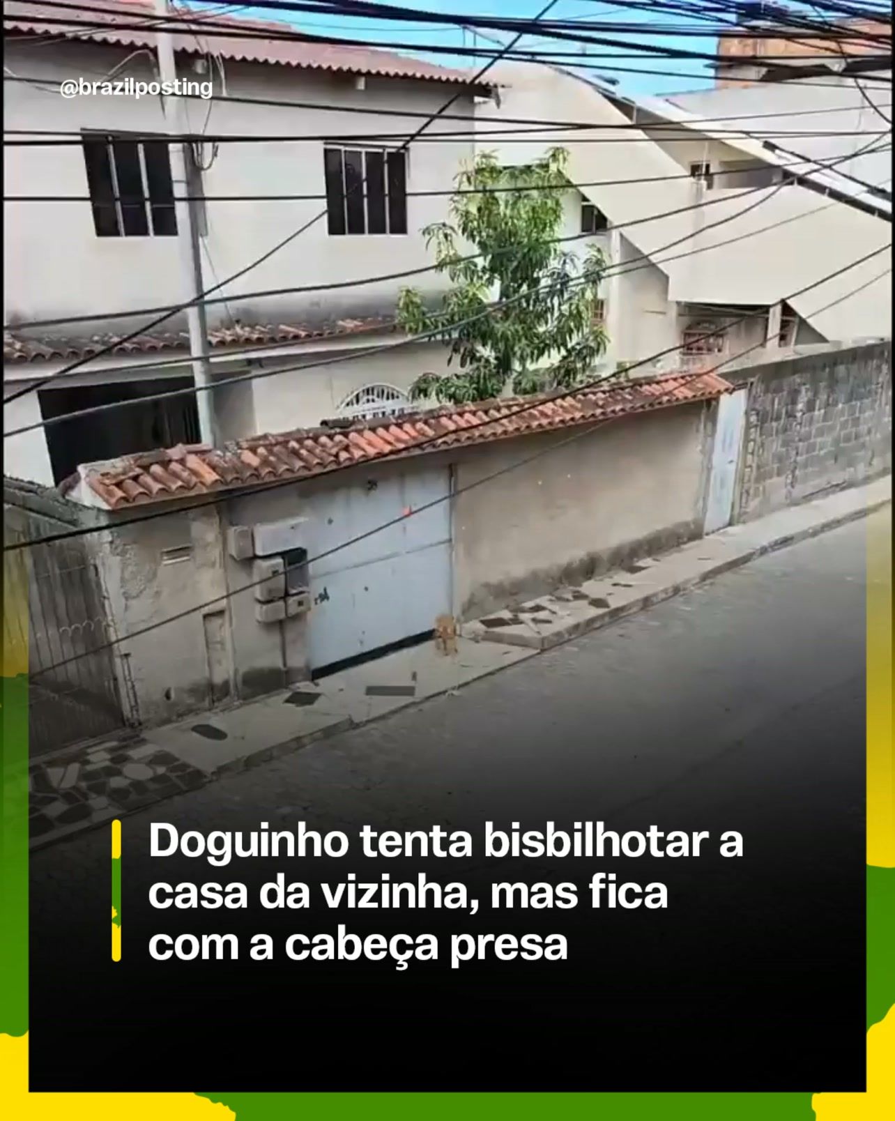 Rua residencial com casarão branco de grades nas janelas, portão cinzento com grades de ferro e planta crescendo ao lado, com fiação de eletricidade na fachada.