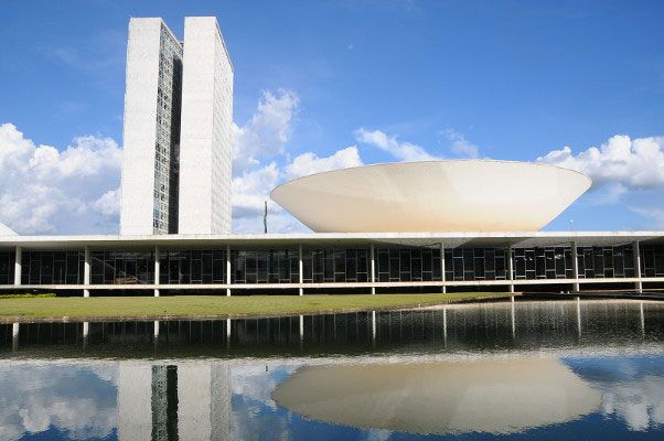 Projeto torna crime manter animais presos permanentemente em correntes