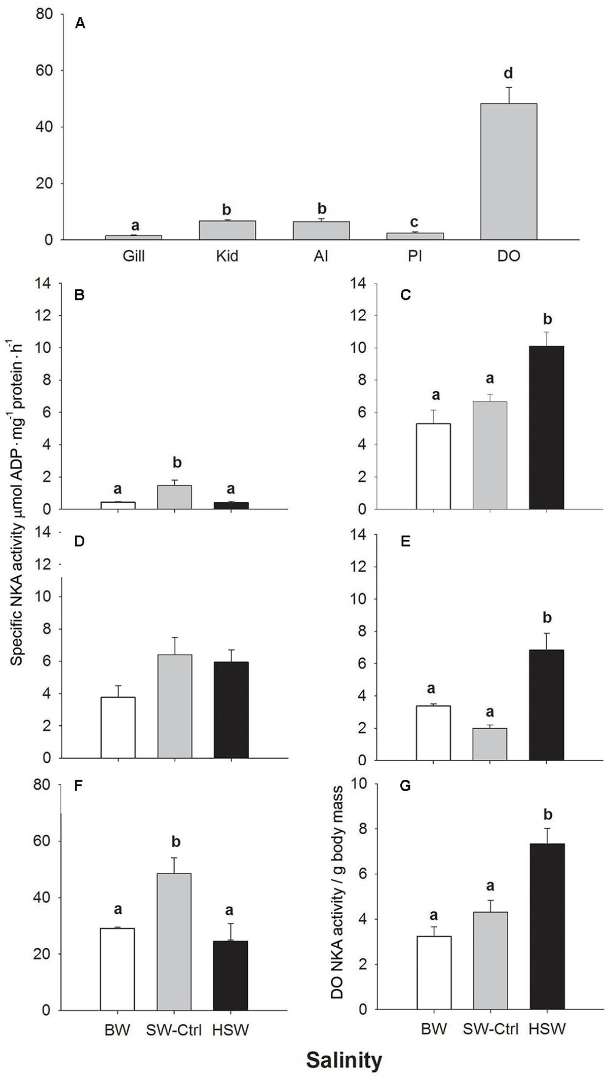 TRPV1 Receptor: From Molecules to Humans
