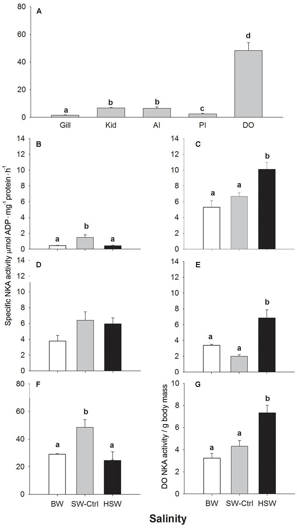TRPV1 Receptor: From Molecules to Humans