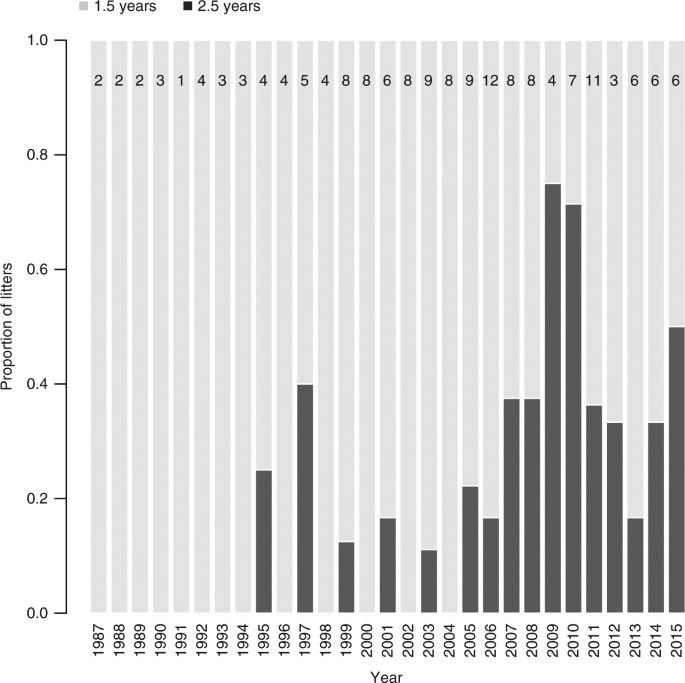 Hunting regulation favors slow life histories in a large carnivore