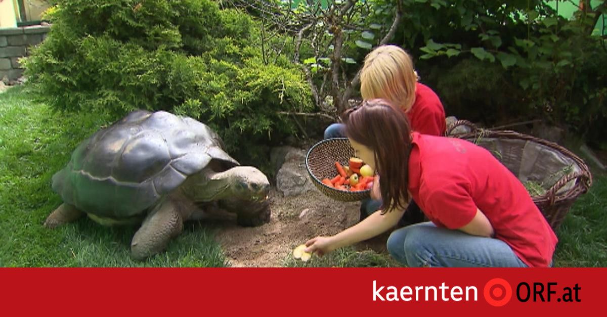 Riesenschildkröte Poldi tot