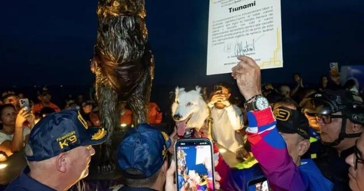 Cão Tsunami ganha estátua na Venezuela após resgatar 26 sobreviventes em terremoto