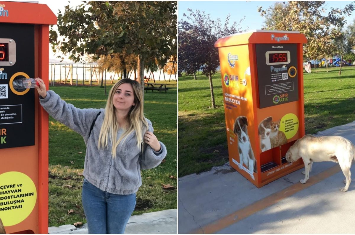 Recycle a bottle, feed a stray: Eco-friendly automats pop up across Turkey