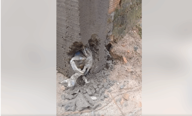Pedreiro encontra caranguejo vivo em parede de obra