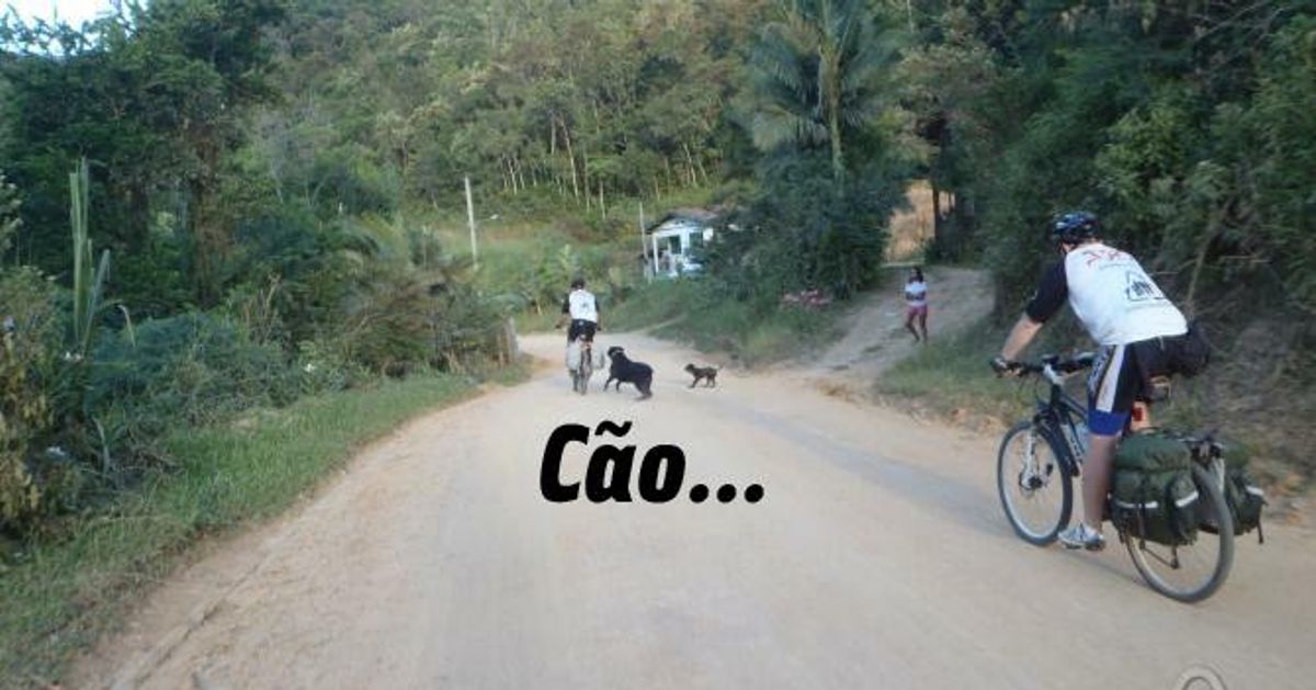 Cachorros nas trilhas e estradas