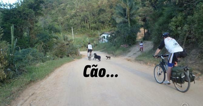 Cachorros nas trilhas e estradas