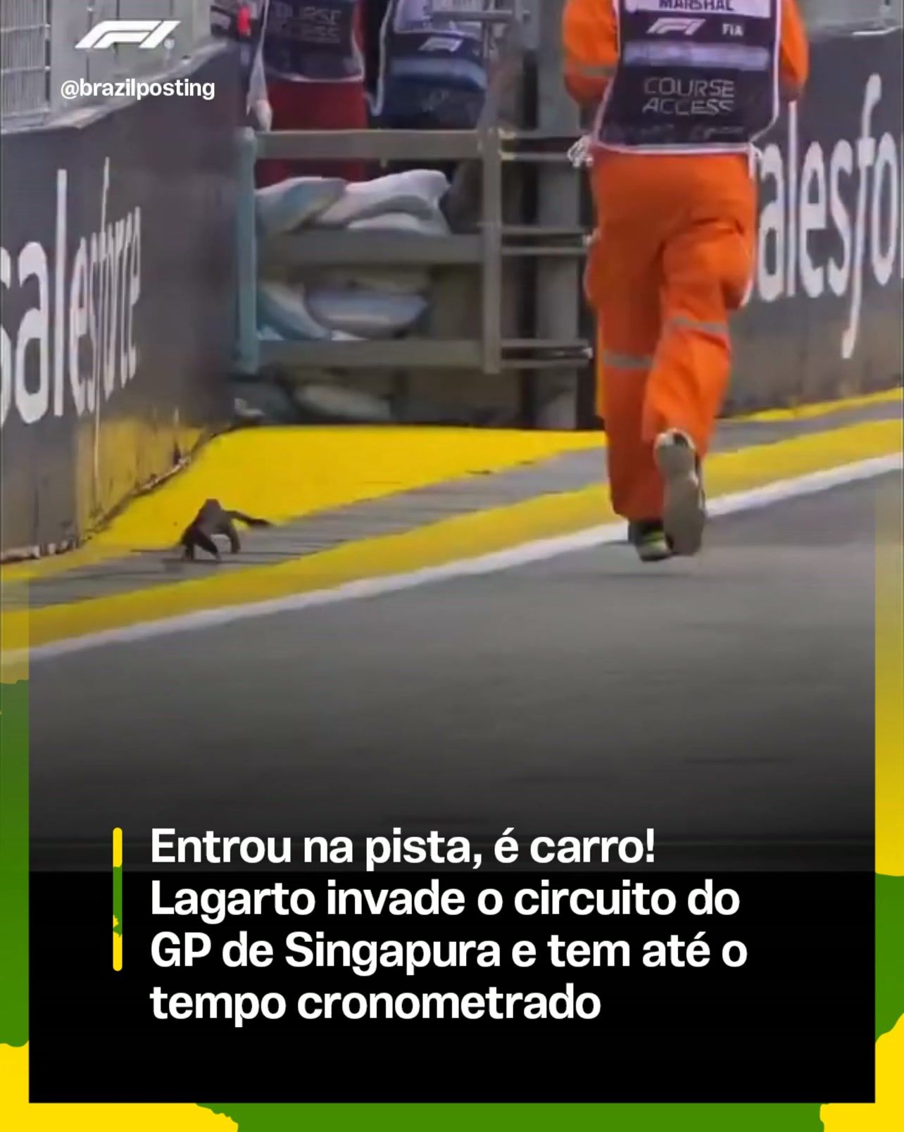 Lagarto invadiu a pista do GP de Singapura da Fórmula 1 e viralizou