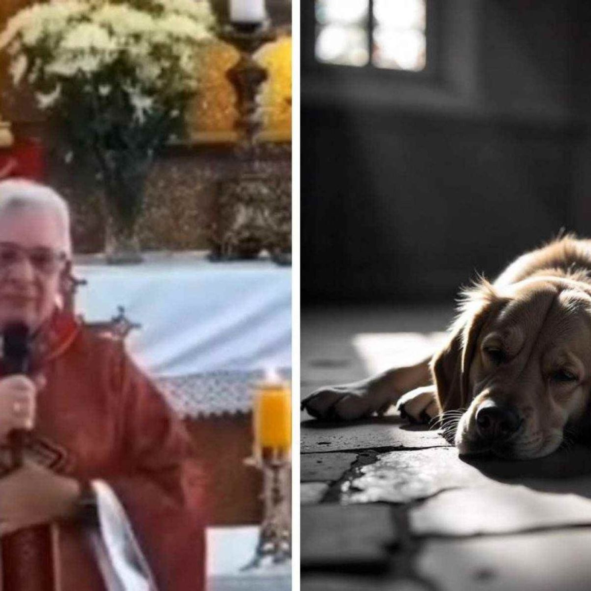 Padre critica presença de cães na igreja durante missa e divide a web