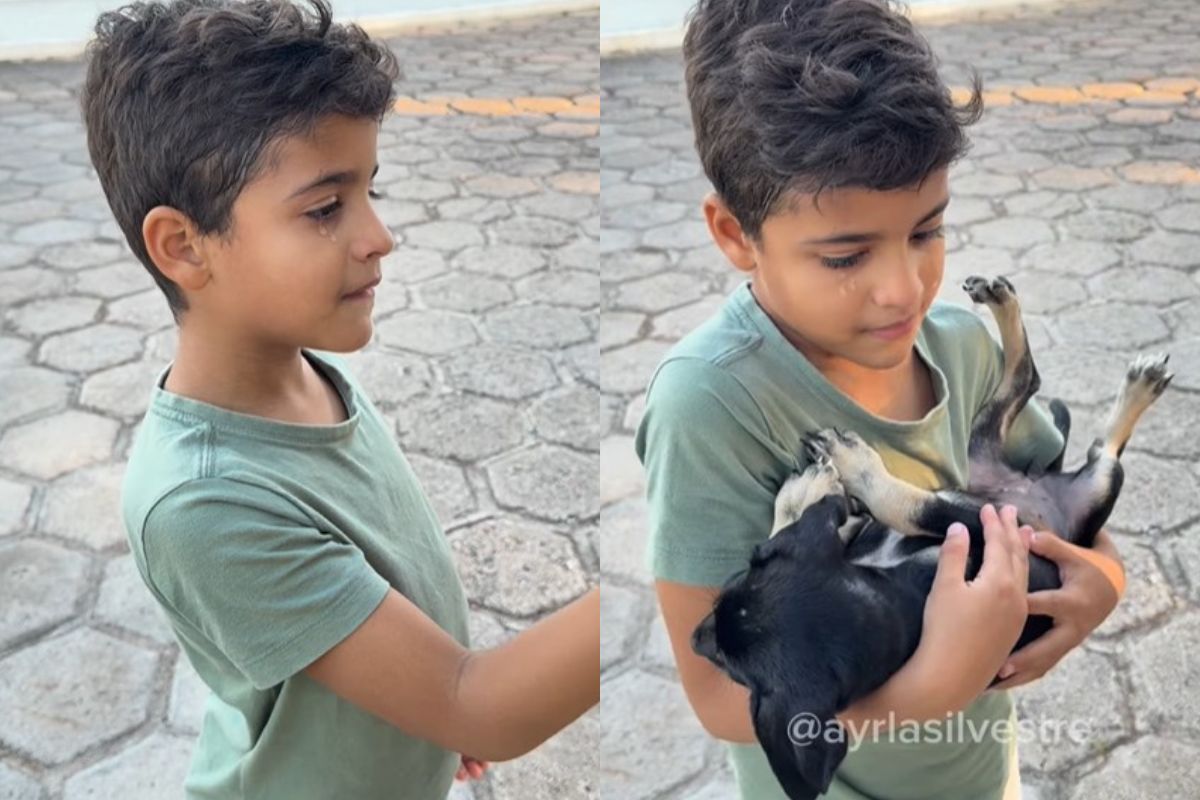 Menino chora e convence mãe a adotar cachorrinha rejeitada em feira