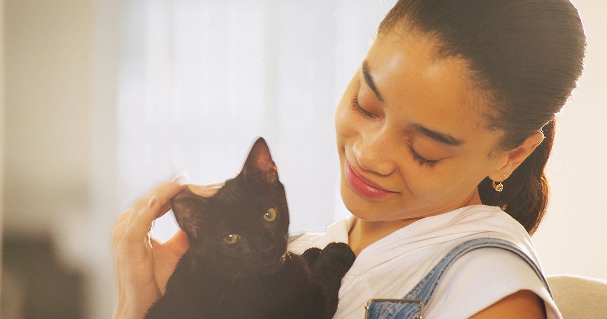 Understanding Cat Body Language and Communication