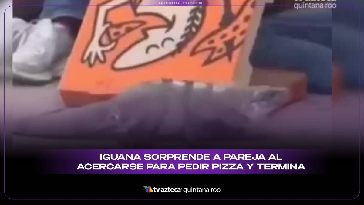 Iguana sorprende a pareja al acercarse para pedir pizza y termina comiendo