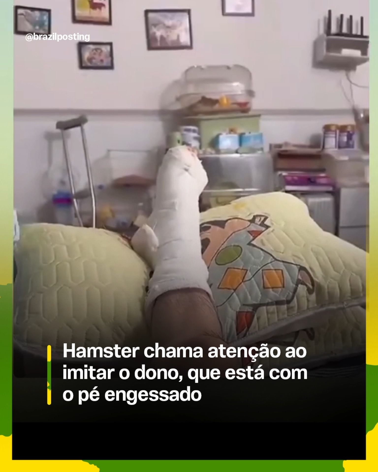 Hamster com a pata suspensa viraliza ao "imitar" o dono com pé engessado, e a ciência explica por quê isso não é coincidência pura