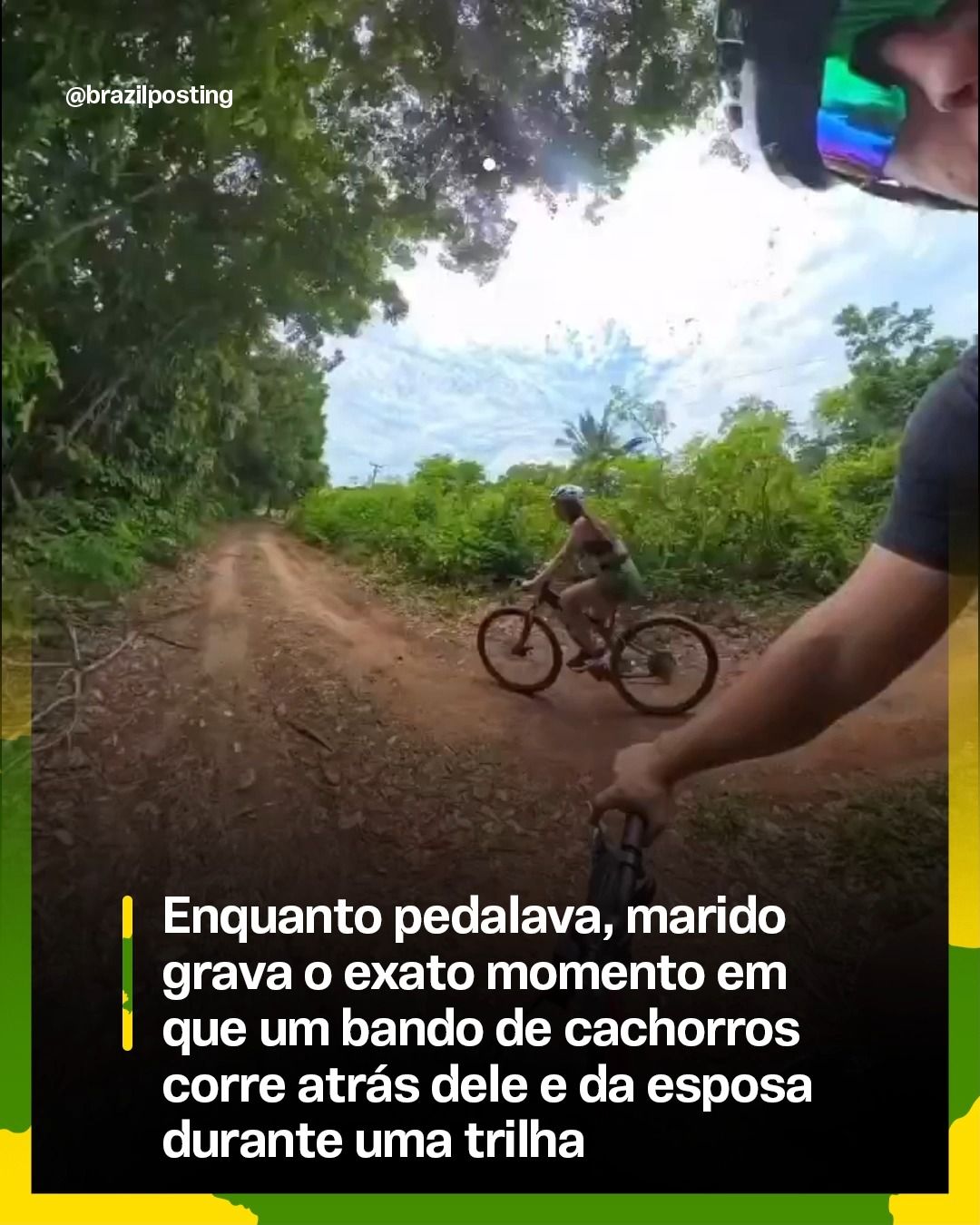 Por que cachorros correm atrás de bicicletas: curiosidade, instinto e brincadeira