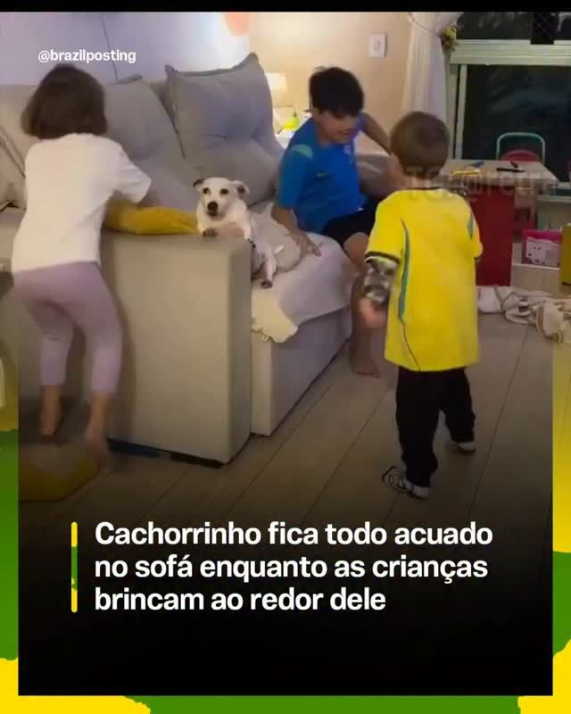Cachorro acuado no sofá enquanto crianças brincam é expressão universal do limite canino