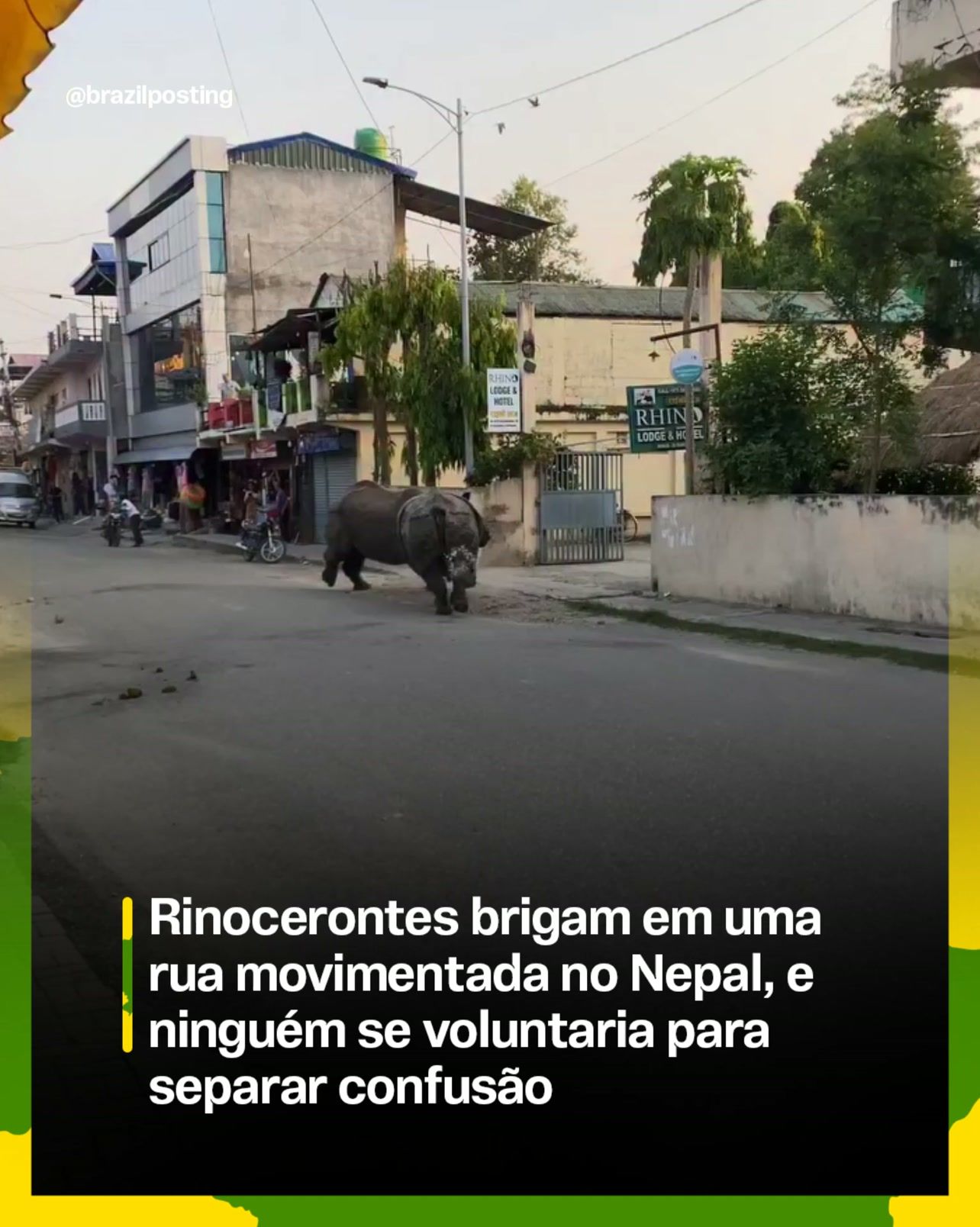 Briga de rinocerontes em Sauraha: quando a conservação gera conflito na rua