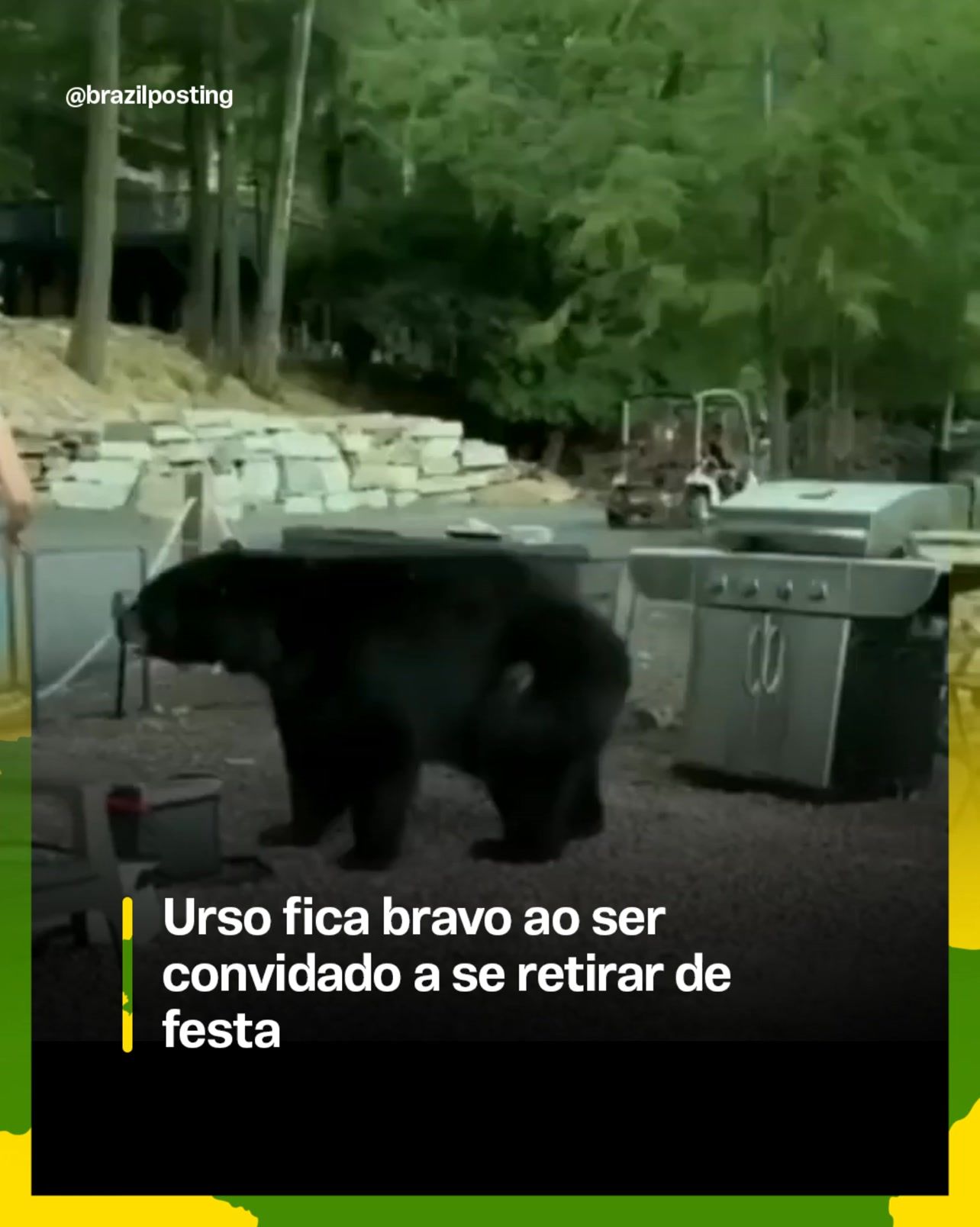 Urso invade churrasco de Labor Day na Pensilvânia e é expulso 'que nem cachorro'; vídeo é real