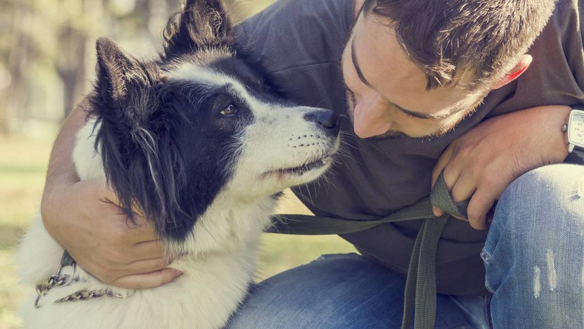 A ciência da lealdade canina: por que os cães são tão fiéis a nós?