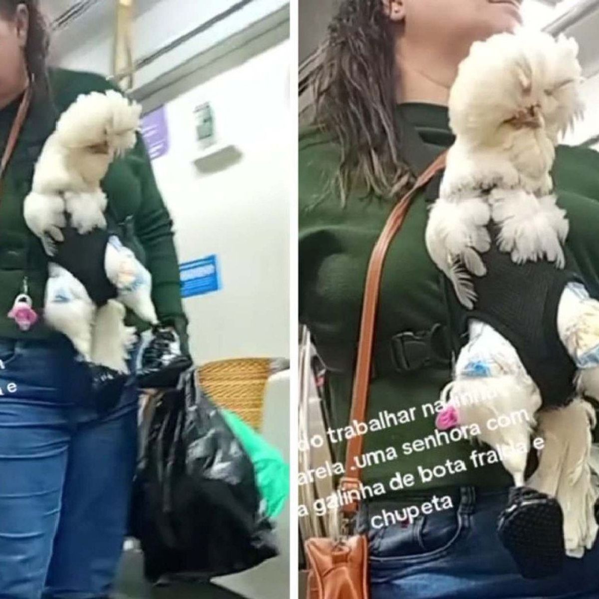 Mulher é flagrada levando galinha de bota, fralda e chupeta no metrô