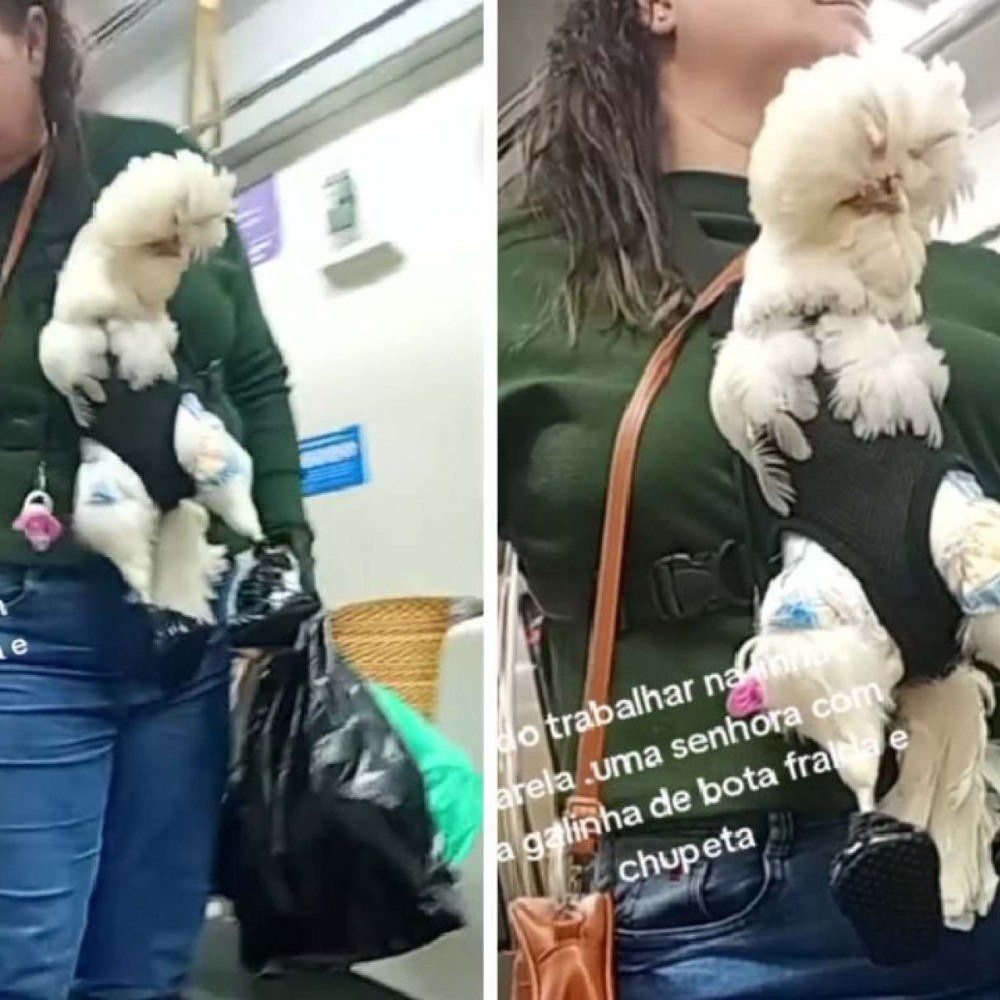 Mulher é flagrada levando galinha de bota, fralda e chupeta no metrô