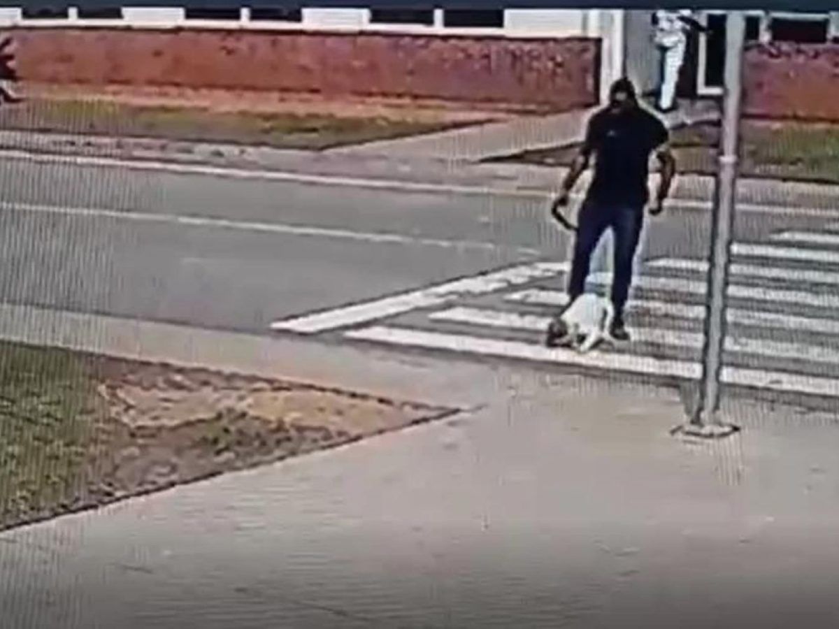 Homem agride cachorro com cinto e chutes e arrasta animal pela rua em São Paulo