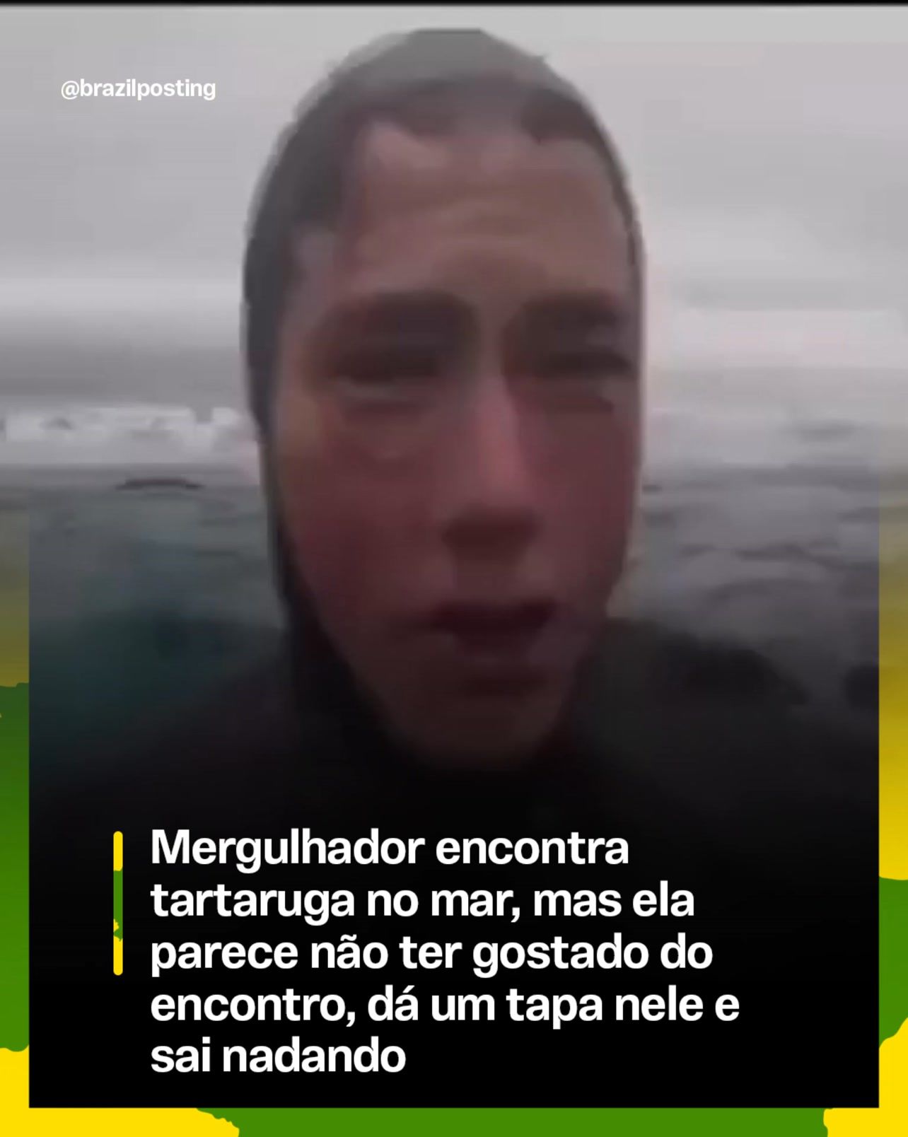 Mergulhador leva 'tapa' de tartaruga marinha na Flórida e vídeo viraliza: bicho passou minutos perseguindo o rapaz