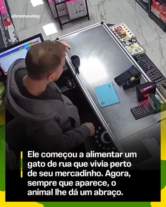 Por que o gato de rua acaba abraçando o comerciante que coloca a comida no chão