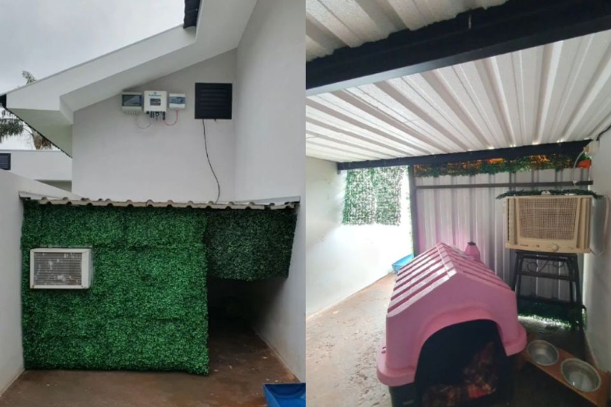 Jovem instala ar-condicionado na casinha de cães para aliviar o calor