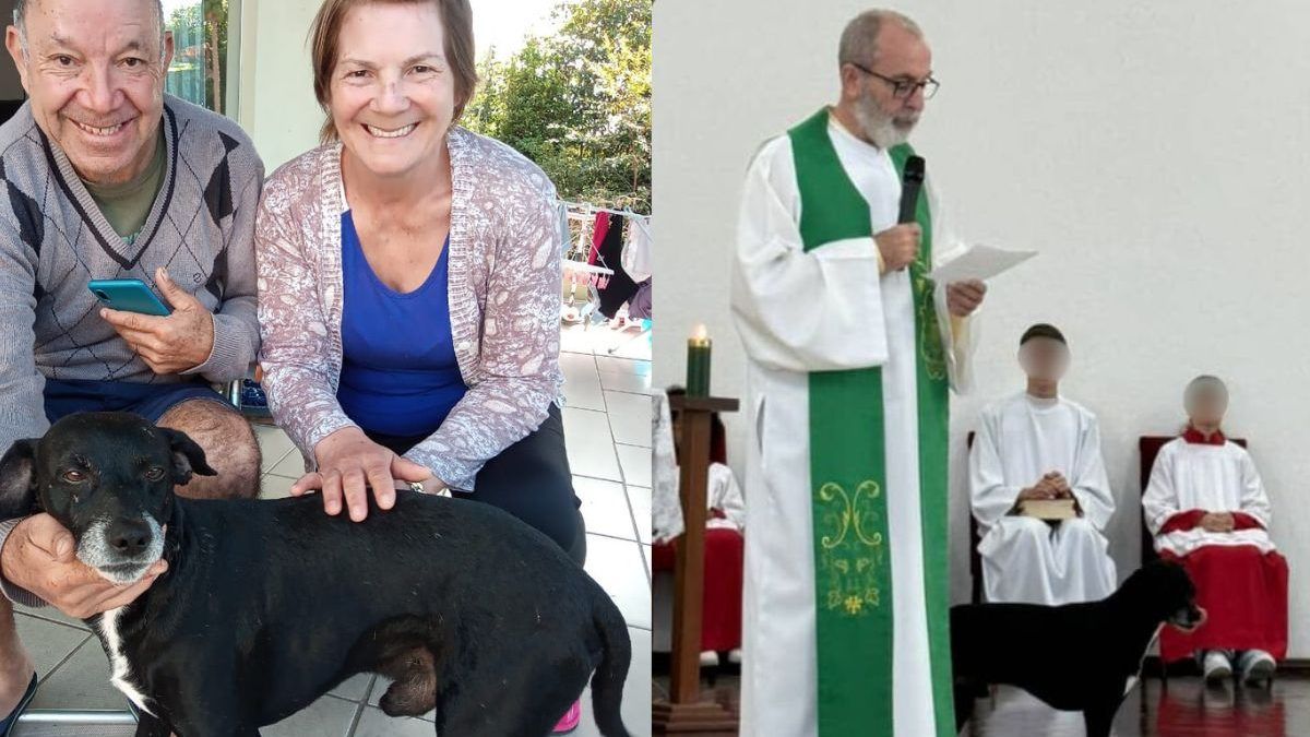 Quem é Feijão? Cachorro 'frequenta' missa em SC e escolhe igreja como lar do coração