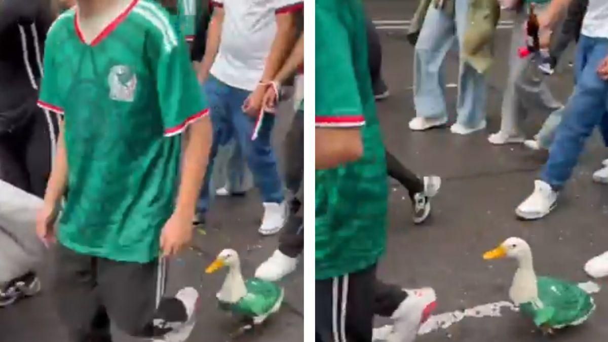 Pato con uniforme del Tri y zapatos conquista a aficionados tras triunfo de México (Video)