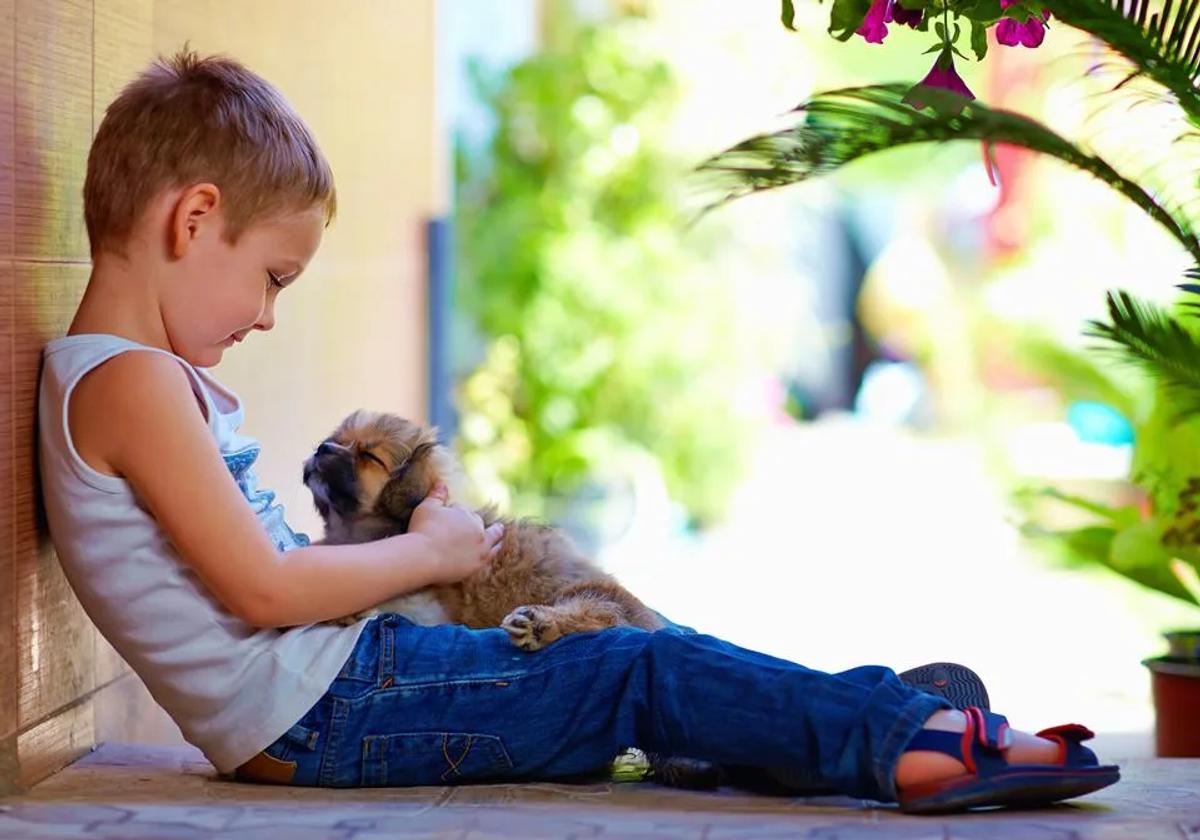 Criança e animais: muito mais que uma relação de carinho