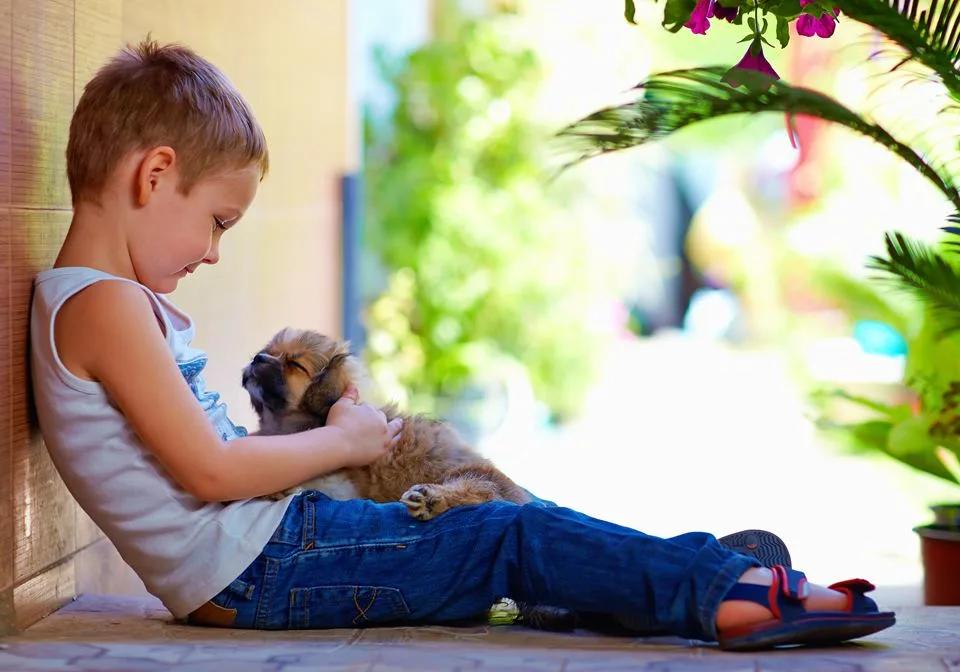 Criança e animais: muito mais que uma relação de carinho