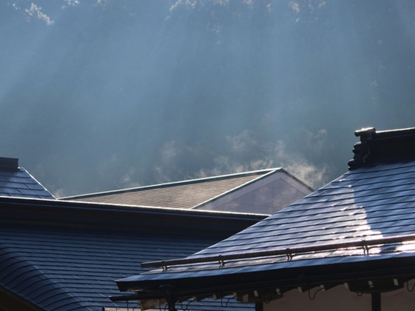 Roof Soft Washing
