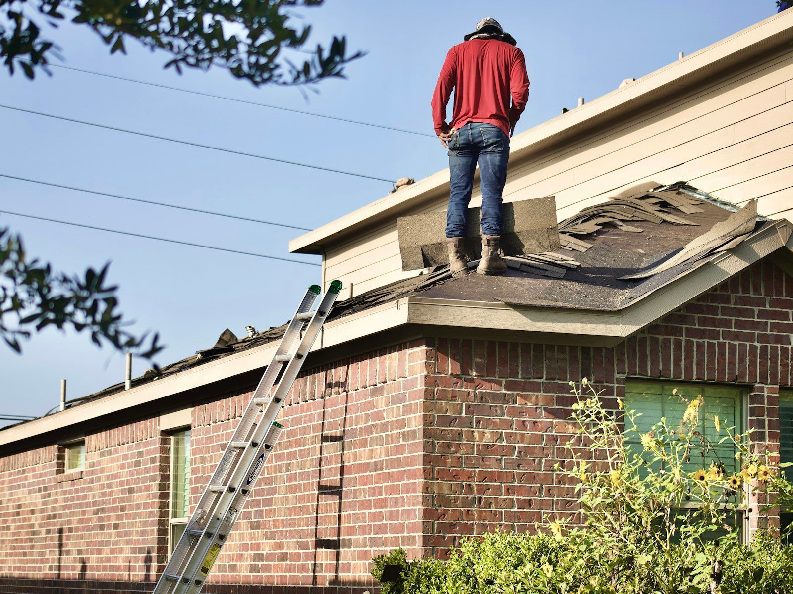 The Complete Guide to Roof Cleaning