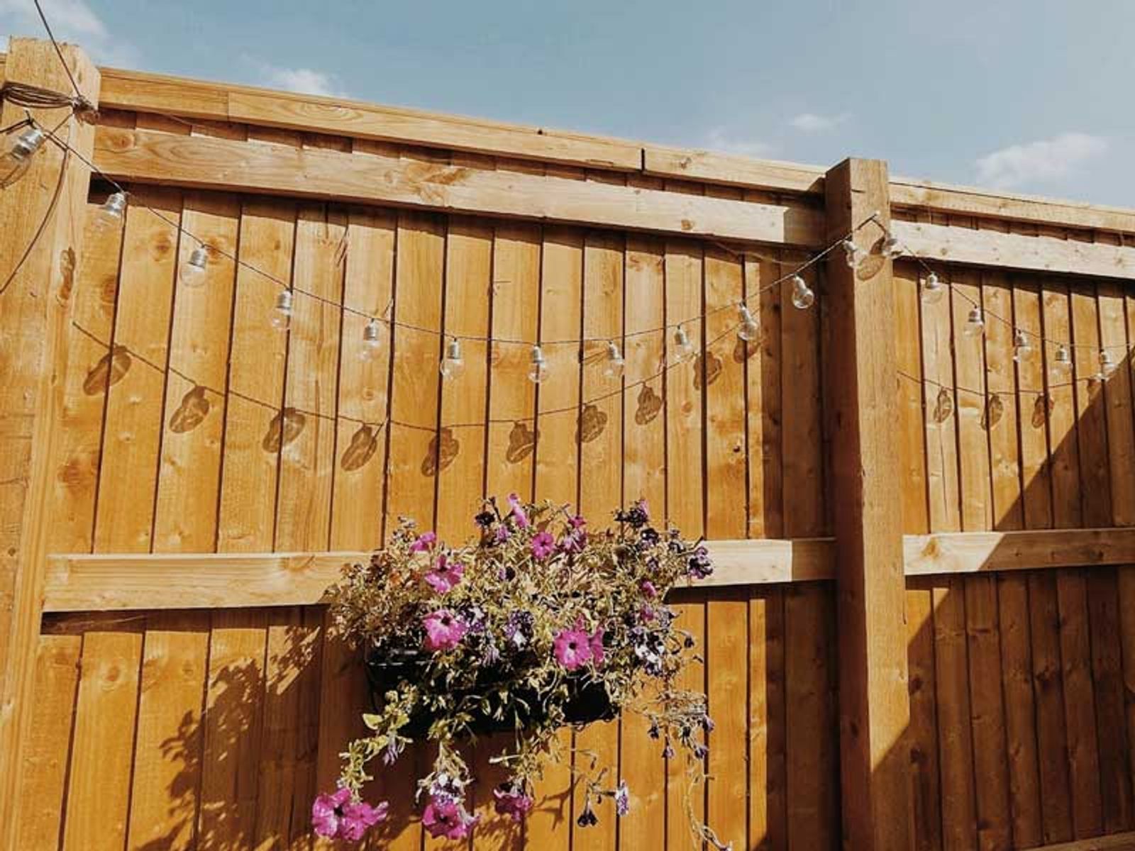 Fence Cleaning