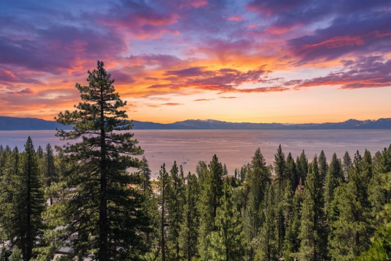 Sunset over Lake Tahoe through the pines