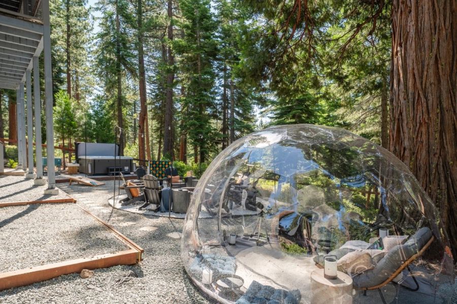 The stargazing dome beneath the pines