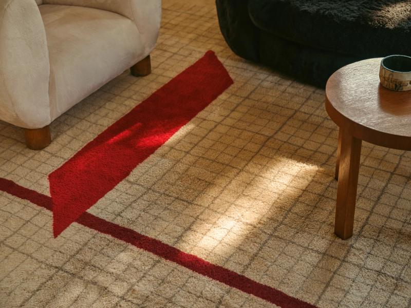 LIN-0244 rug in living room under a sofa and chair.