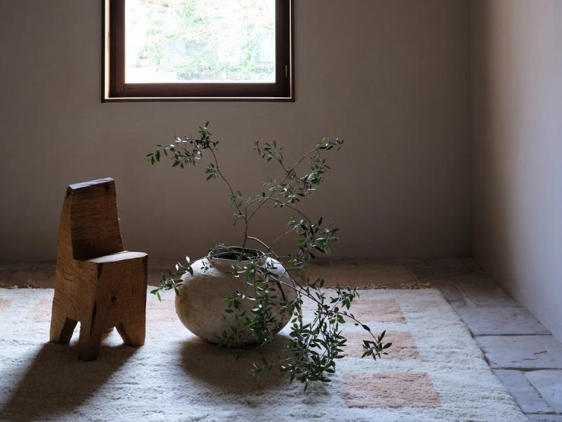 Boundaries rug with chair and pot. 