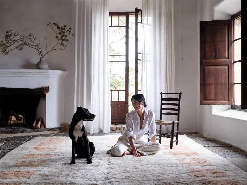 Boundaries rug in living room with woman and dog. 