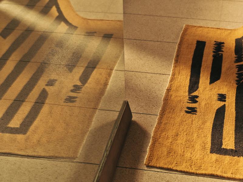 CEN-0124 rug on floor reflected in glass door